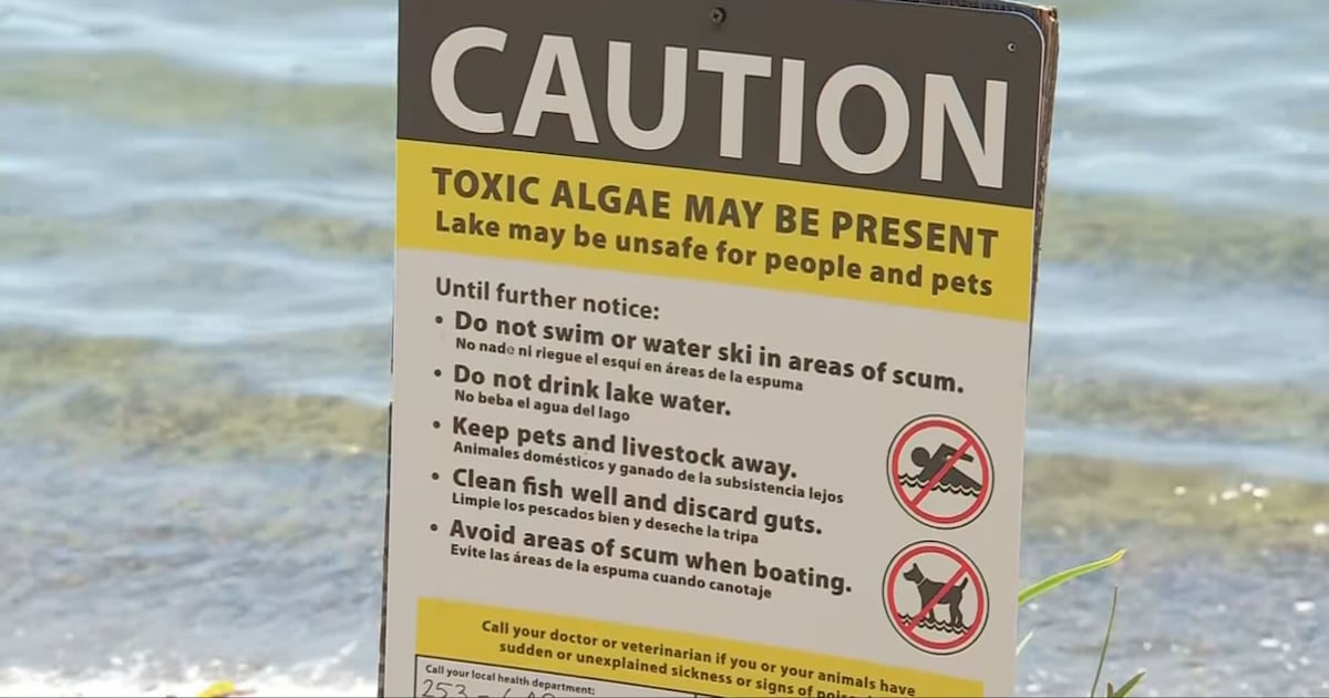 KIRO7Seattle's tweet card. Health officials in Pierce County are urging people at Spanaway Lake to watch out for toxic algae.