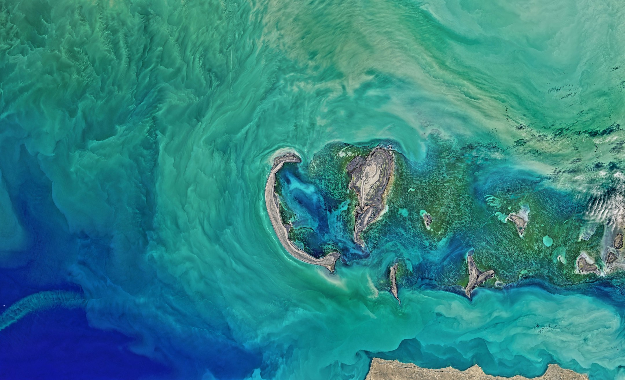 JoinClarity's tweet card. Air pollutants influence ecosystems, the water cycle, and global temperatures by driving acid rain, ocean acidification, ozone depletion, the greenhouse effect, and changes in Earth's albedo.
