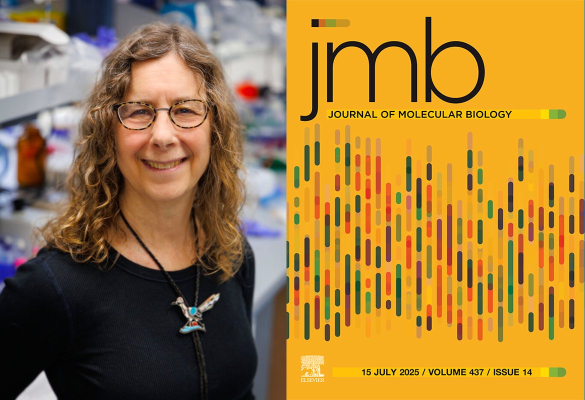 cnsiatucla's tweet card. Professors Juli Feigon and Sabeeha Merchant are among 12 trailblazing female scientists featured in the inaugural “Pioneers in Molecular Biology” issue of the Journal of Molecular Biology (JMB). The...