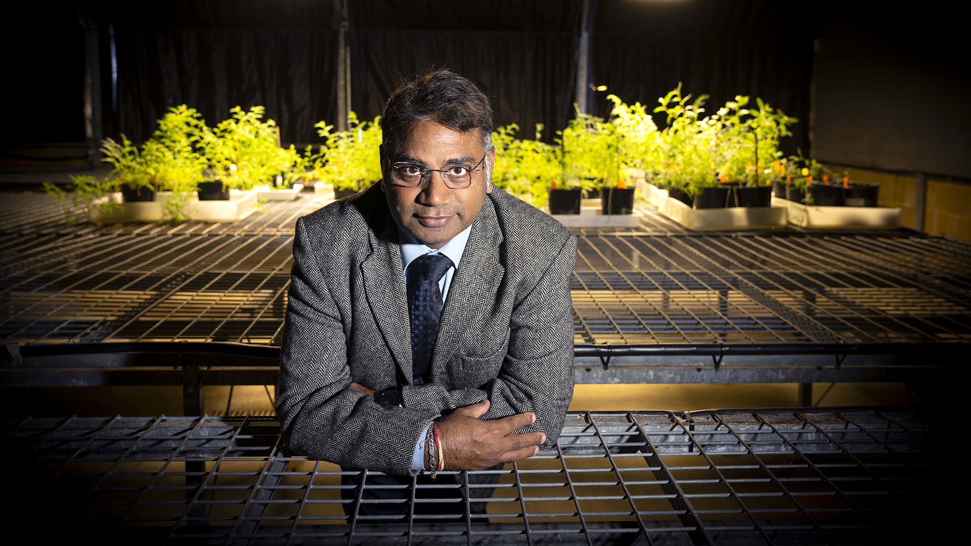 MUniResearch's tweet card. Election to the Royal Society for Professor Rajeev Varshney means he has joined the ranks of esteemed international scientists including Sir David Attenborough and Norman Borlaug. It is a significant...