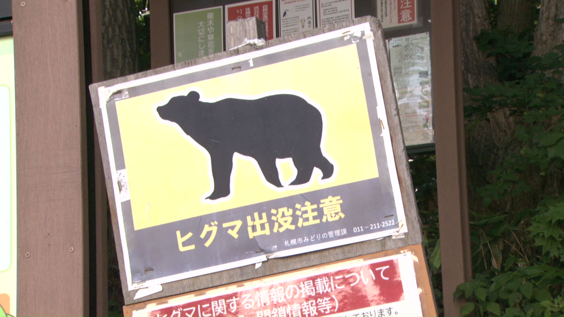 uhbnews_uhb's tweet card. LineUp・【ヒグマ速報】夜の登山道をライトを付けて「ナイトハイク」していたら…茂みから出てきたクマとバッタリ遭遇＿すぐに引き返…
