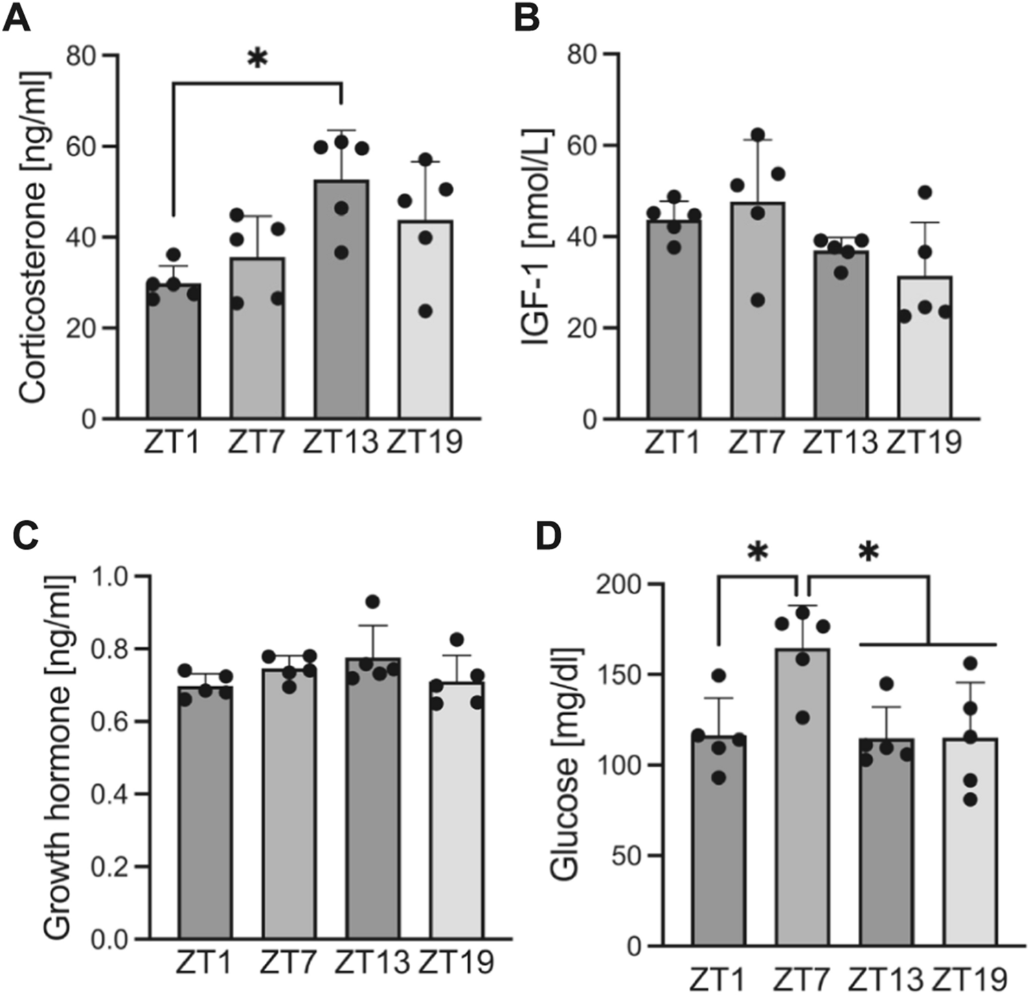HornbergerLab's tweet card. Scientific Reports - Time-of-day effect of high-intensity muscle contraction on mTOR signaling and protein synthesis in mice