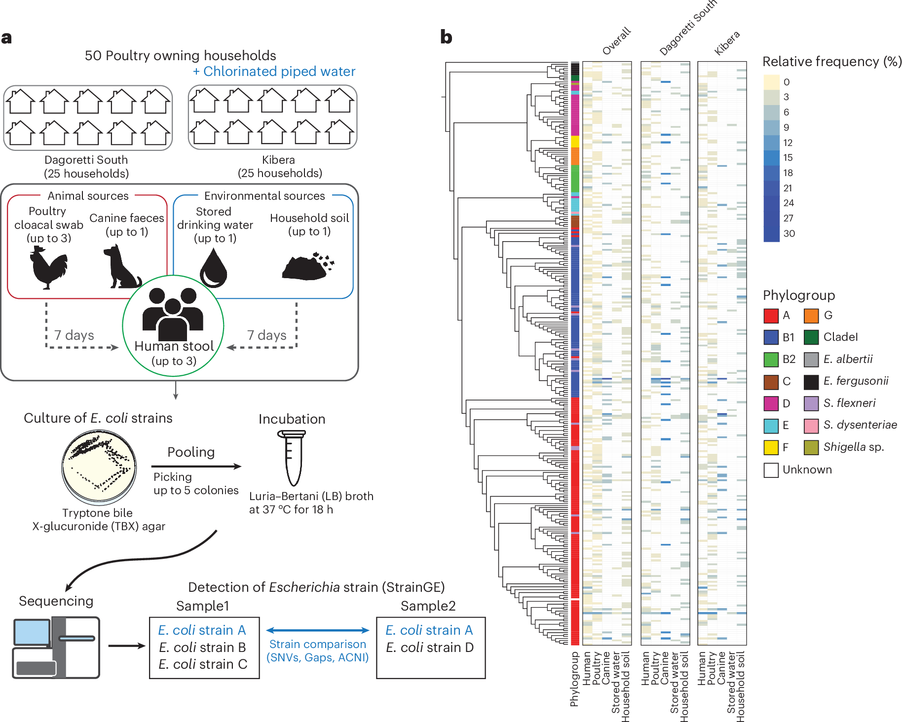 SeqH2O's tweet card. Nature Microbiology - Escherichia coli-contaminated stored drinking water facilitates strain-sharing between household members, suggesting water treatment can curb bacterial transmission and...
