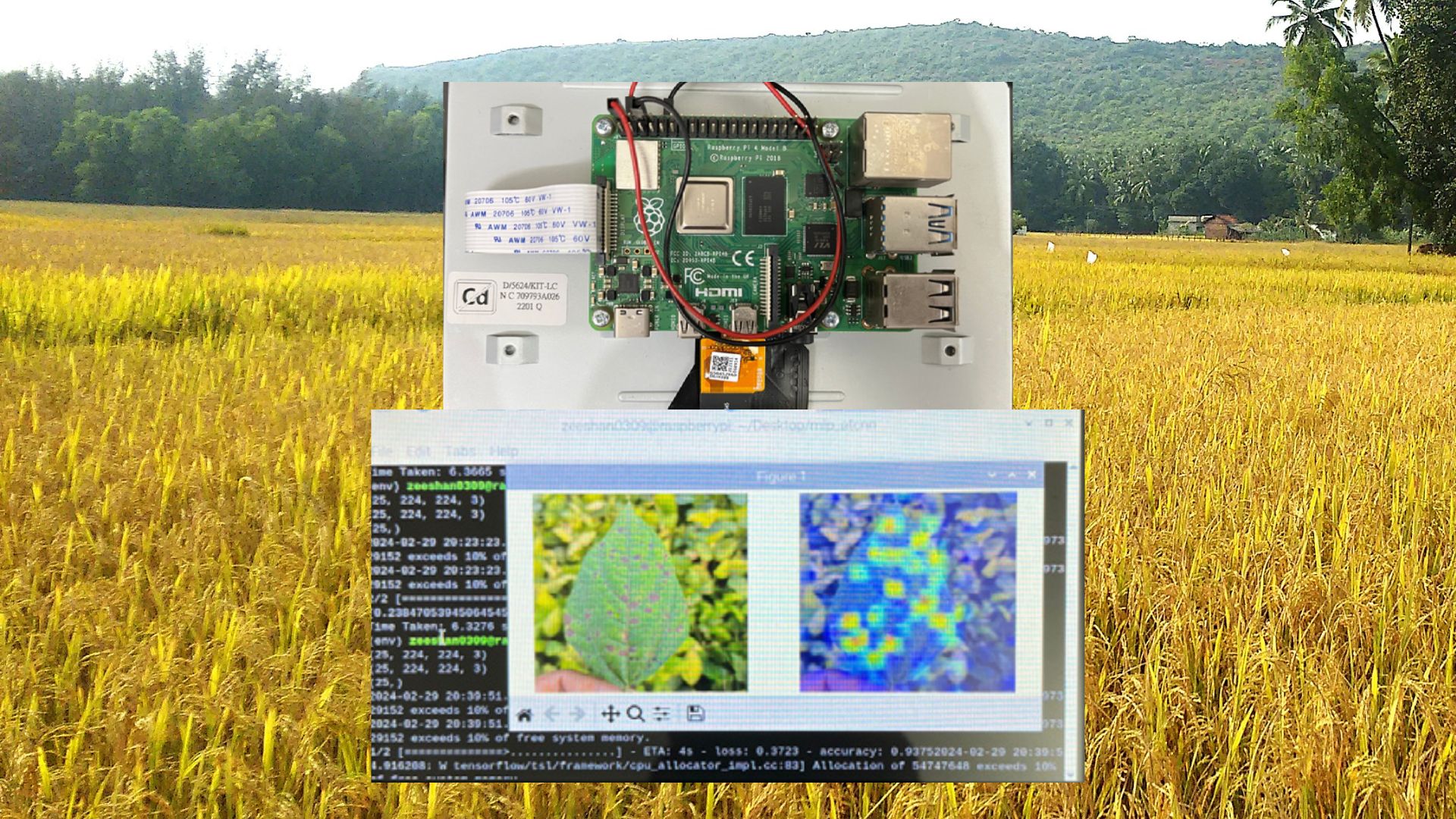 Sudhira's tweet card. The application uses Convolutional Neural Network (CNN) to identify disease symptoms from images of leaves, and is small enough to be run on IoT devices.
