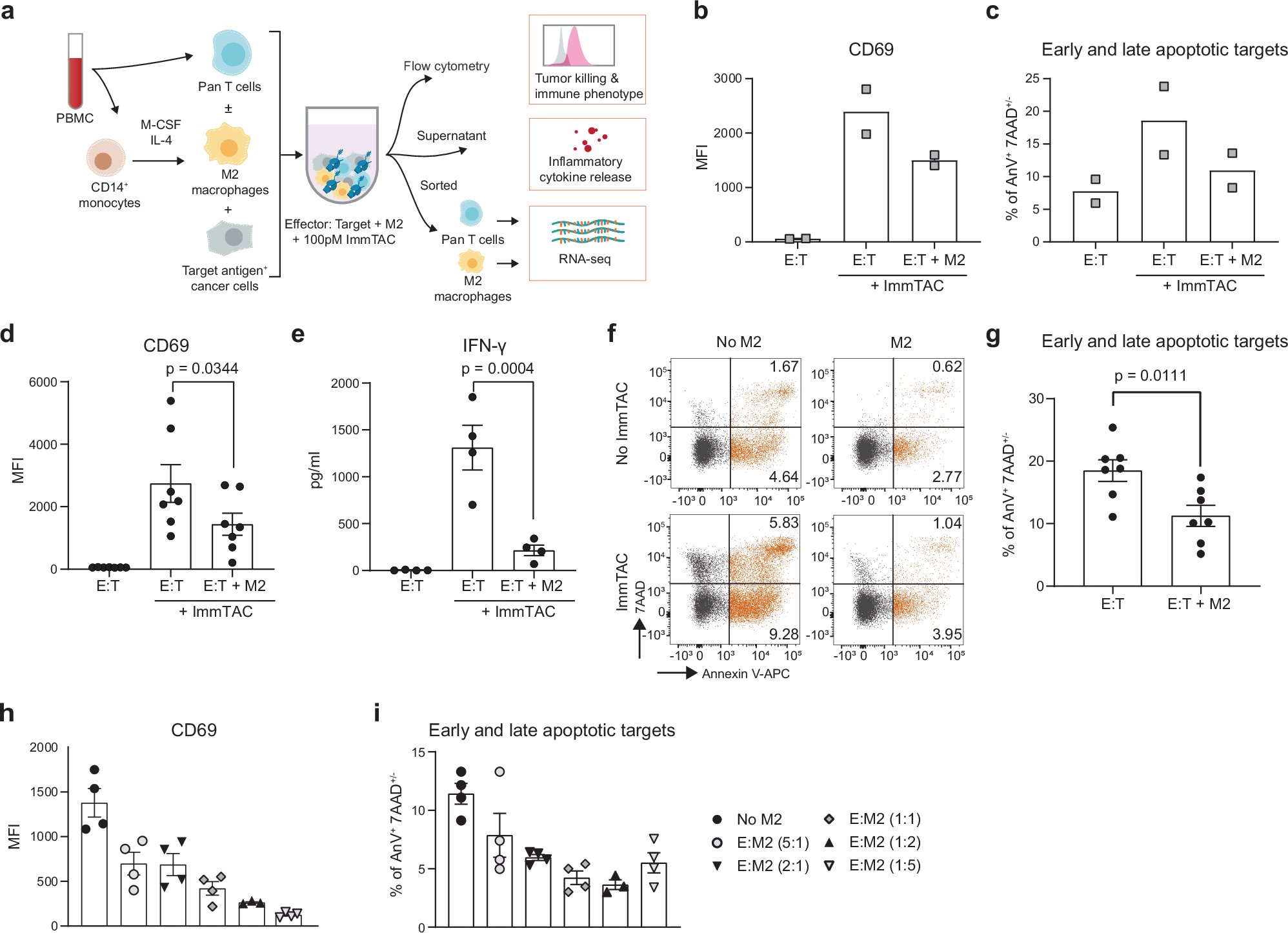 paulanietog's tweet card. Nature Communications - ‘T cell engagers promote antitumor immunity, but how macrophage modulates this activity in tumor is still unclear. Here the authors show, using biopsies from patients...
