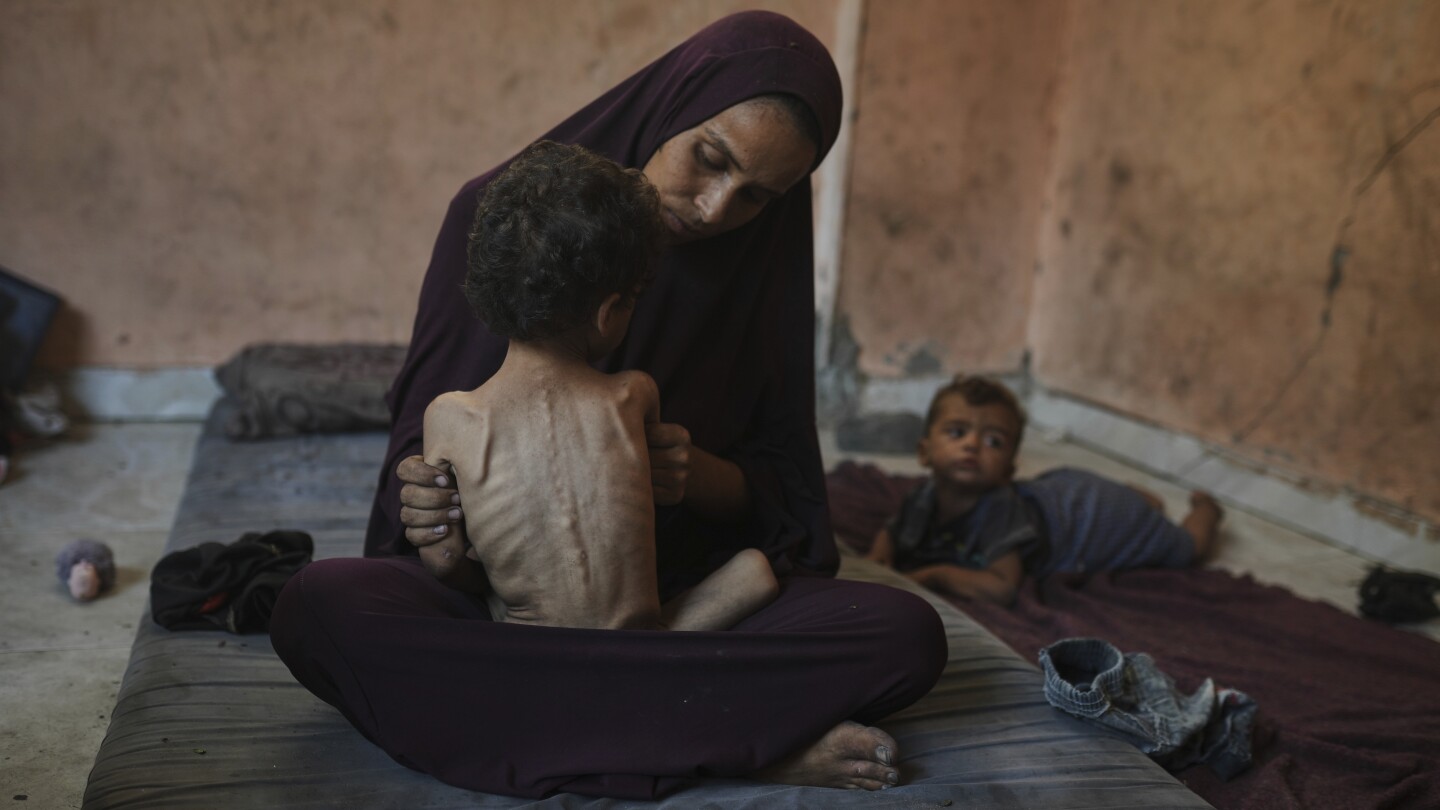 StewartPrest's tweet card. Health workers and aid groups fear hunger that has been building in Gaza for months under Israel's blockade is now reaching a tipping point into accelerating death.