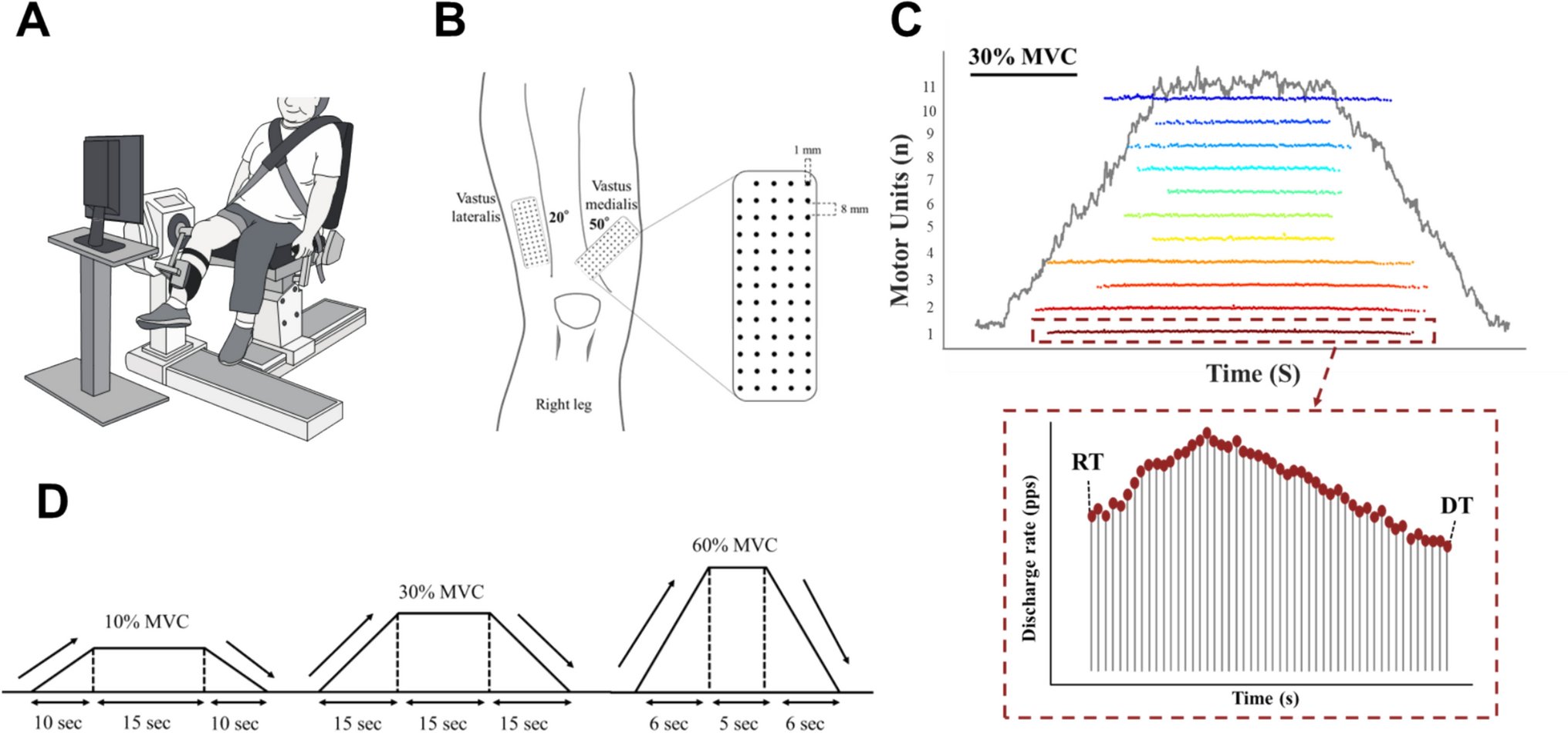 HarrisonFinn's tweet card. Annals of Biomedical Engineering - While changes in muscle quality and quantity are common concerns as knee osteoarthritis (KOA) progresses, it is equally important to consider the central nervous...
