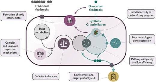 SEVAplasmids's tweet card. In this review, we summarize the challenges in establishing synthetic pathways for assimilation of C1 feedstocks in microbes and how to solve these issues