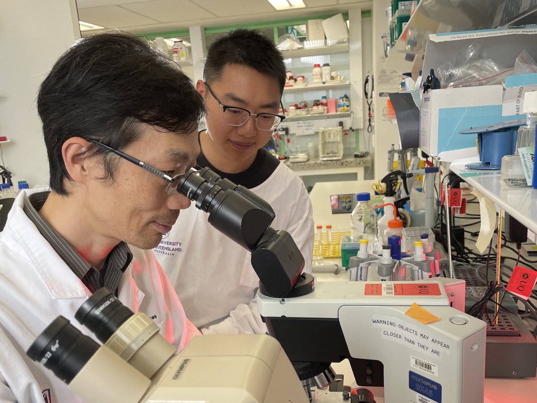 Chuang_Lab's tweet card. A study conducted by researchers from the University of Queensland could help explain how Alzheimer’s disease takes hold.