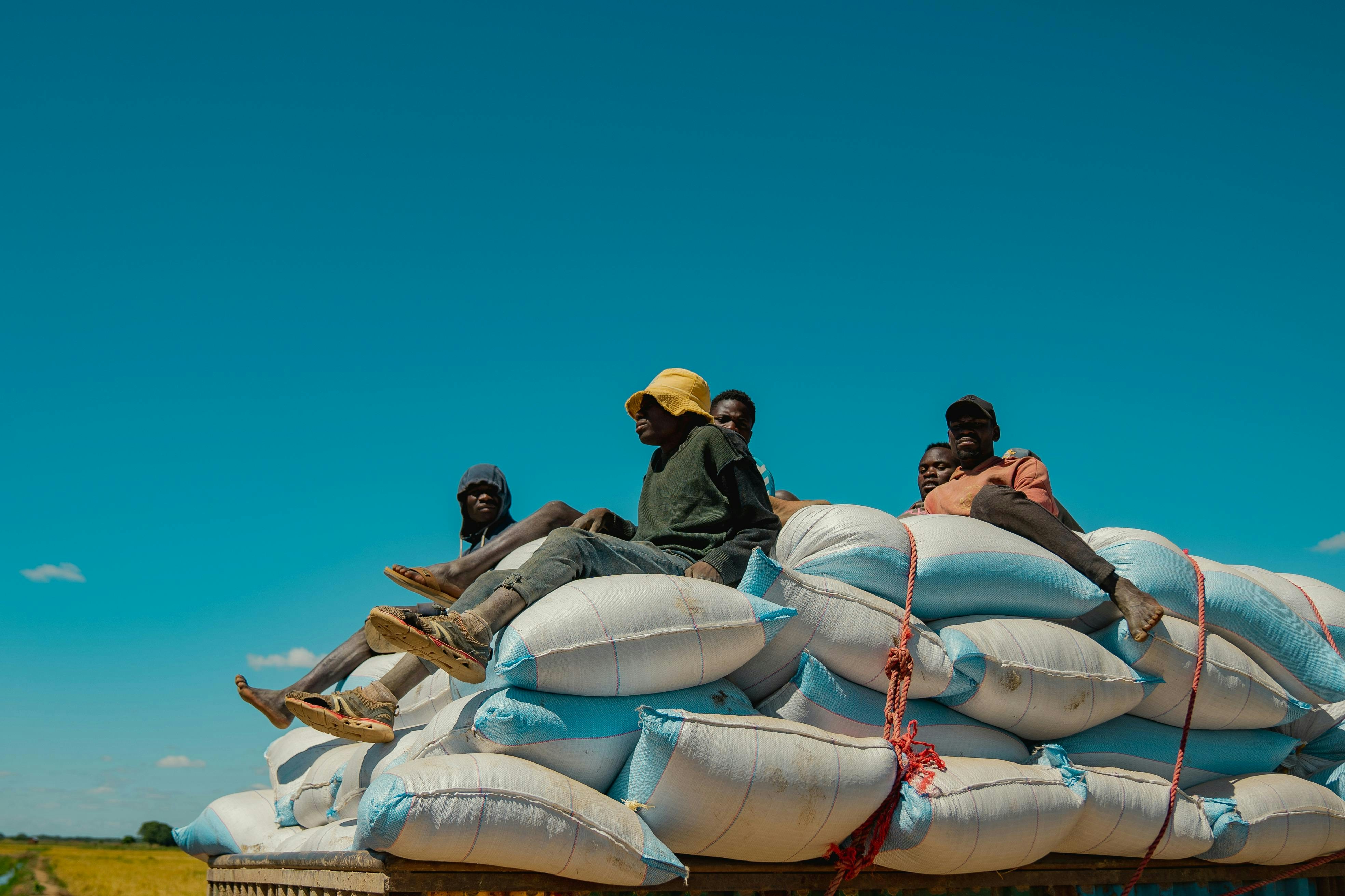 LateriteGlobal's tweet card. Laterite and IDS share how conflict and climate impacted households in Ethiopia’s Tigray region and the role of social protection programs.