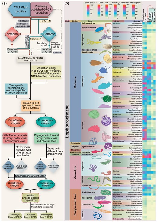 CEGLAB_IISERBPR's tweet card. Abstract. Sensing external chemosensory cues via Class-A G protein-coupled receptors (GPCRs) is crucial for a multitude of behavioral and biological functi