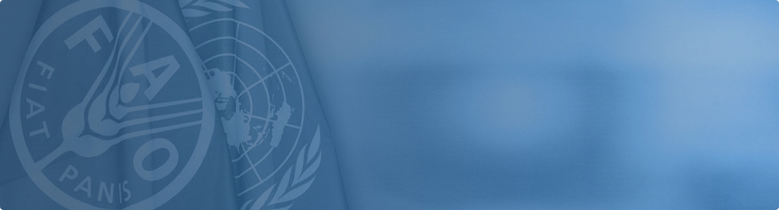 FAOUganda's tweet card. Home | FAO in Uganda | Food and Agriculture Organization of the United Nations
