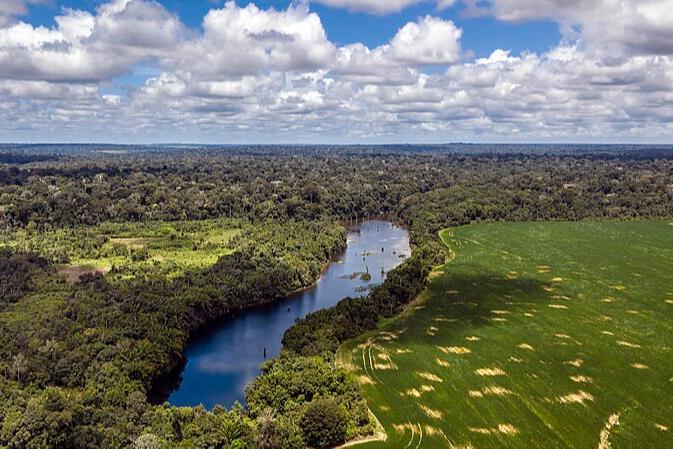 lwmendes's tweet card. Proper pasture management in the Amazon, aimed at maintaining soil vegetation cover, can reduce methane emissions from livestock farming, according to a new study analyzing emissions and microorgan...