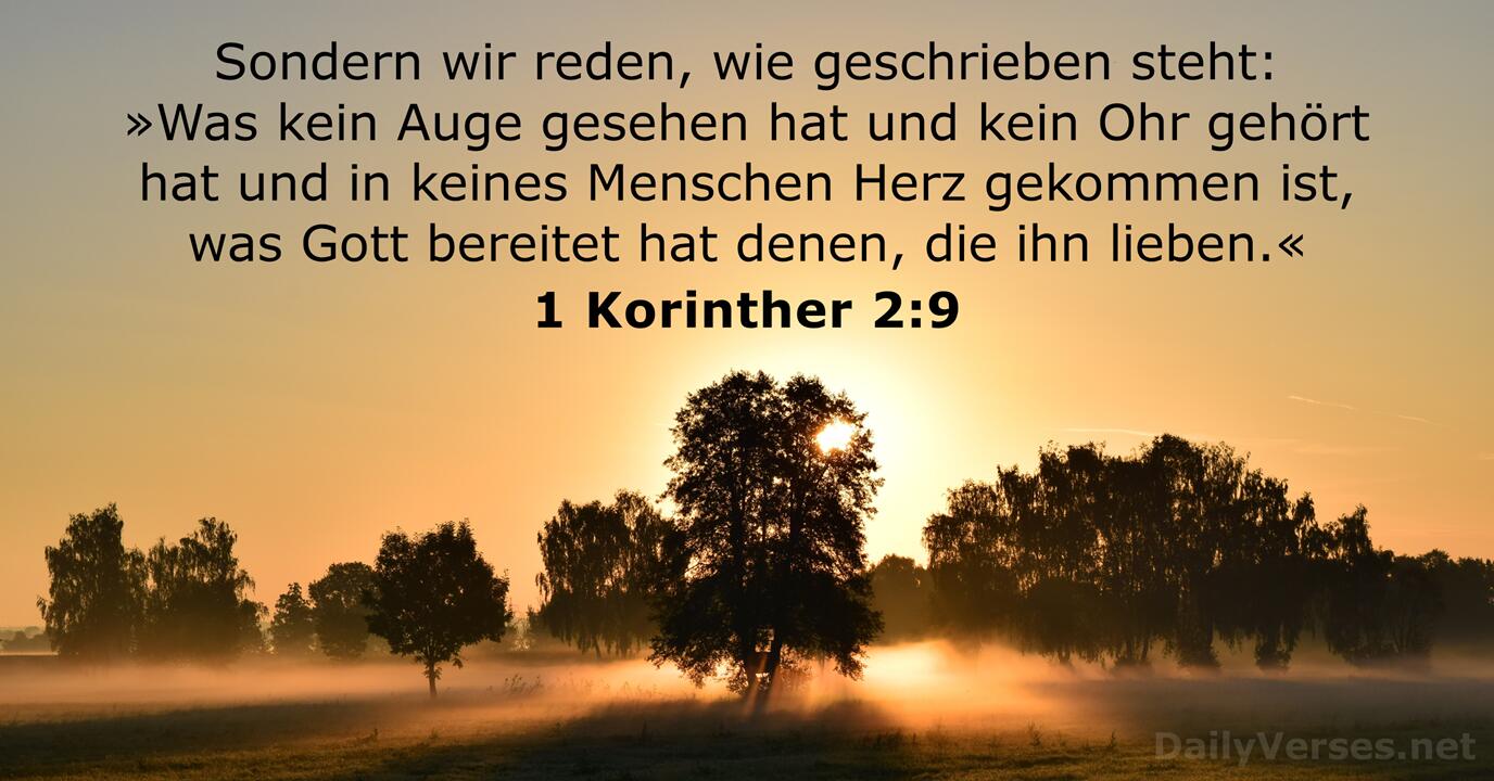 RainerFauth's tweet card. Sondern wir reden, wie geschrieben steht: »Was kein Auge gesehen hat und kein Ohr gehört hat und in keines Menschen Herz gekommen ist, was Gott bereitet hat denen, die ihn lieben.«