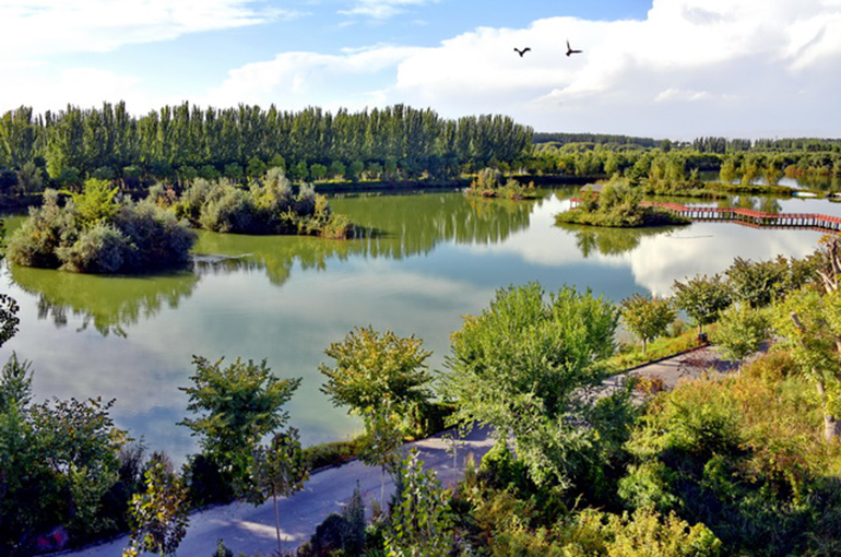 yicaichina's tweet card. Nine Chinese Cities Are Named Int’l Wetland Cities