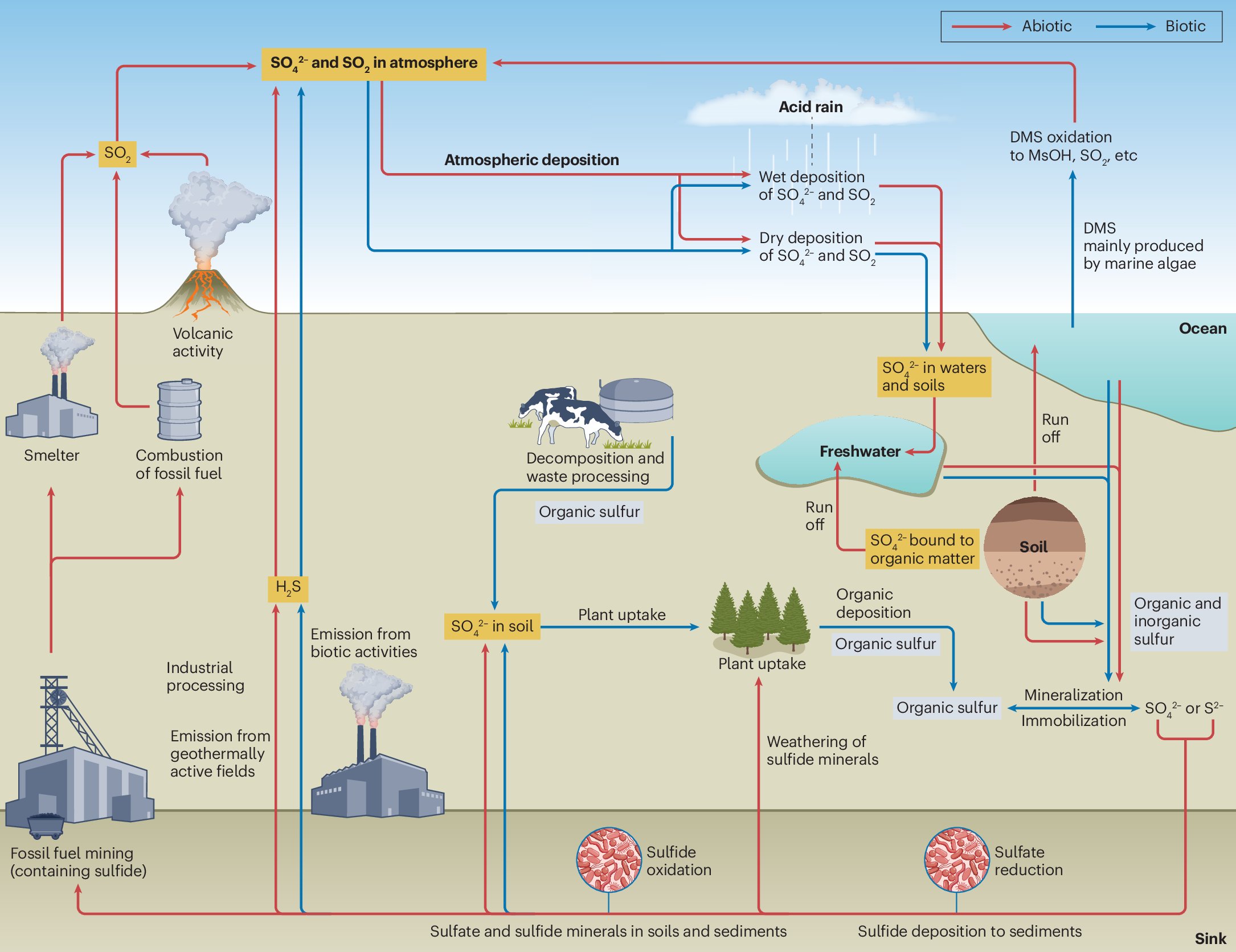 KarthikGeomicro's tweet card. Nature Reviews Microbiology - In this Review, Zhou, Tran et al. provide a comprehensive overview of the metabolic reactions by which microorganisms transform inorganic sulfur compounds across...