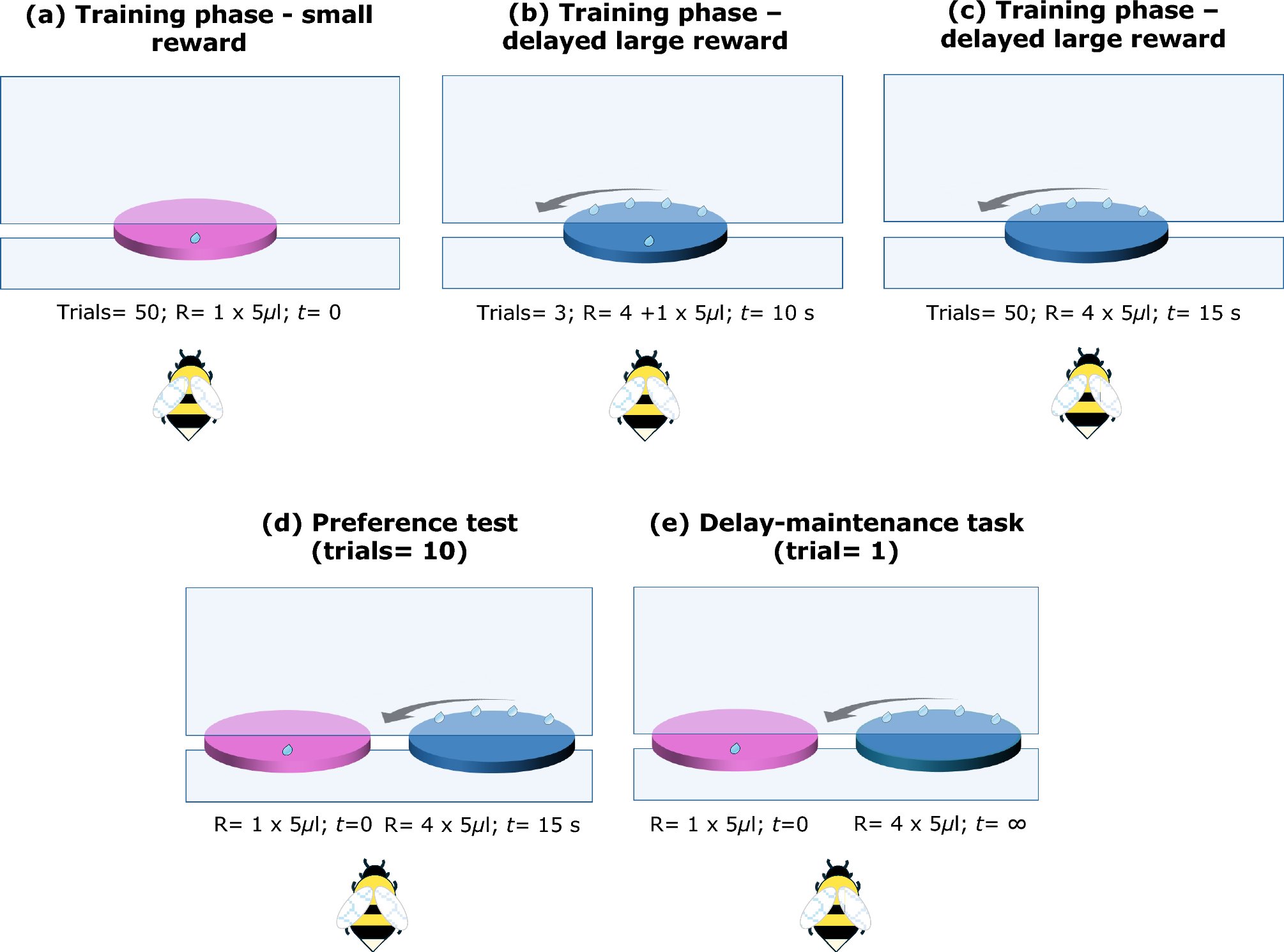 SciReports's tweet card. Scientific Reports - Assessing the limits of delay of gratification in bumble bees