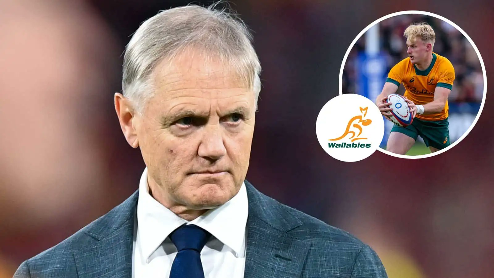 PlanetRugby's tweet card. Former Wallabies full-back Greg Martin believes that not even veteran coach Joe Schmidt can turn Rugby Australia's fortunes around.