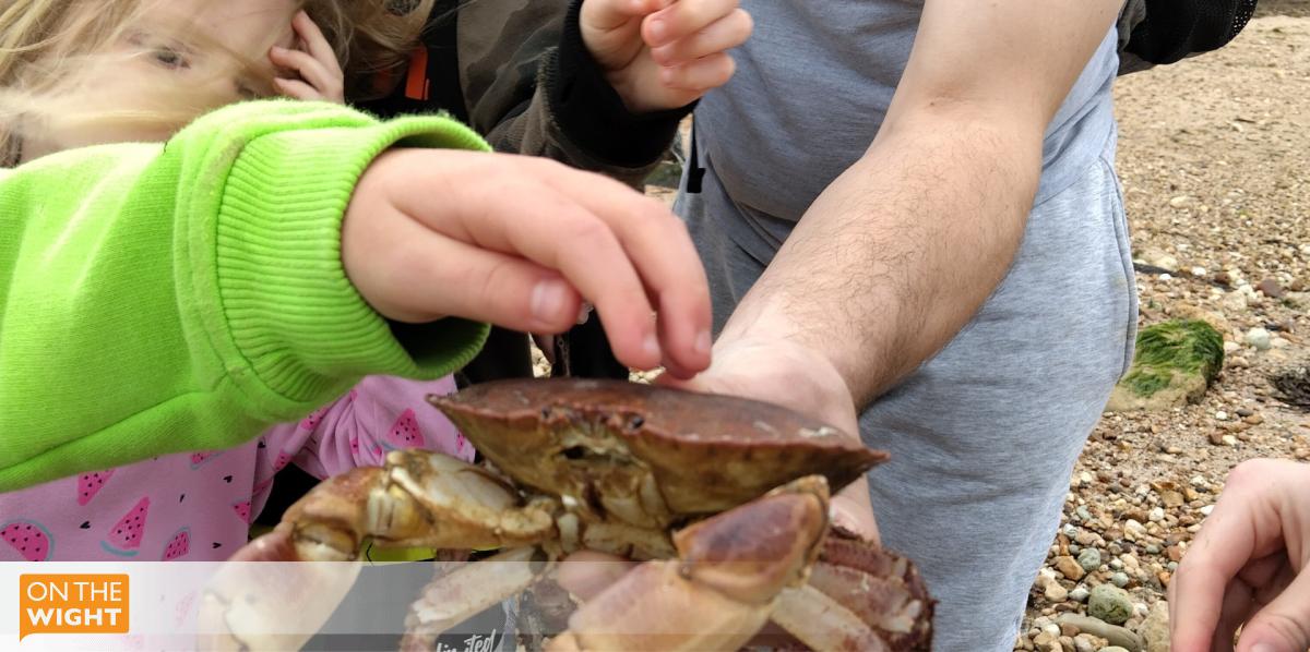 onthewight's tweet card. Families can enjoy guided fossil and rock pooling walks at Fort Victoria this summer