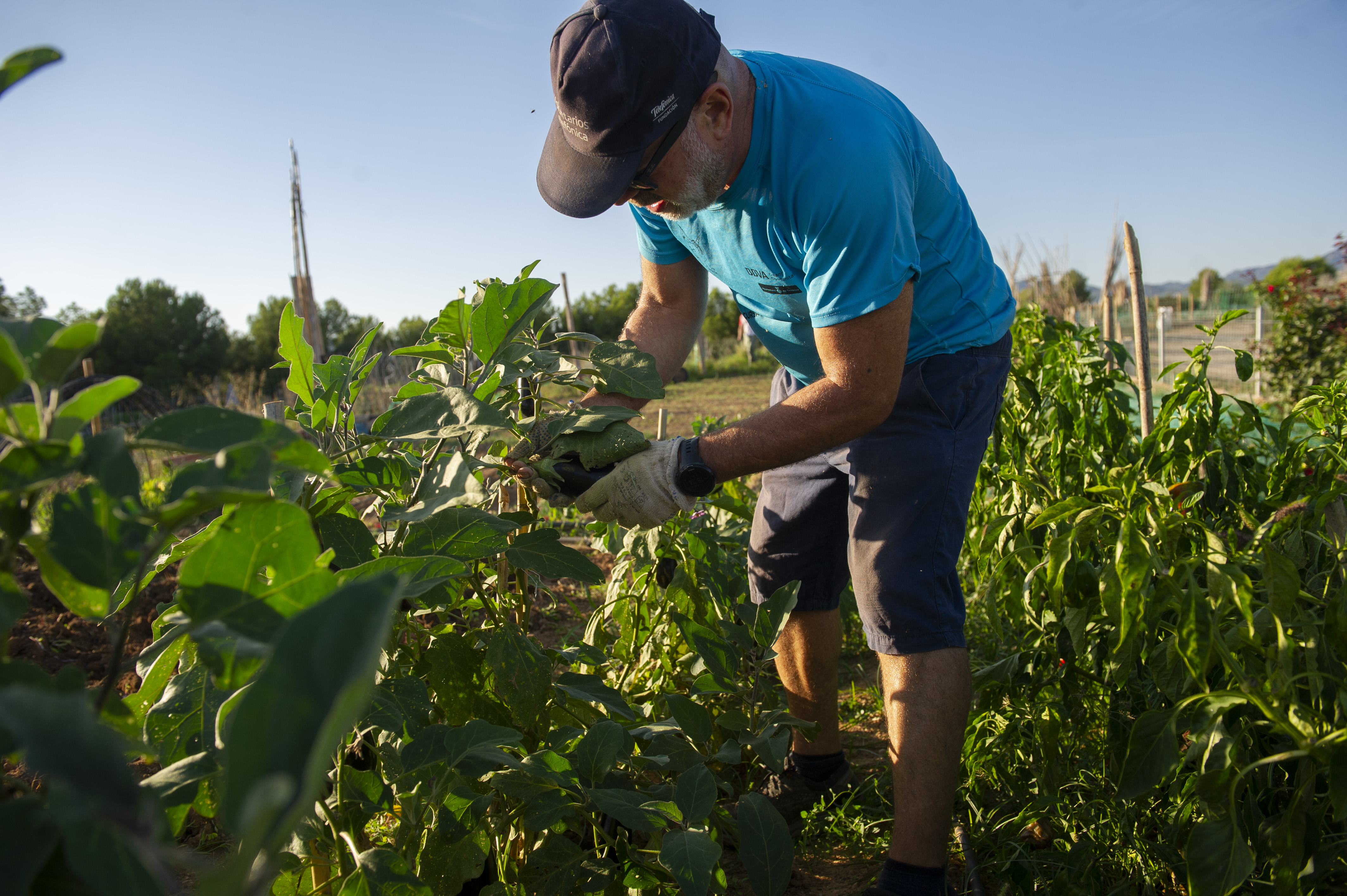 NacioLleida's tweet card. Unió de Pagesos aconsegueix que la prima base pugi fins als 30.000 euros i que s’activi un ajut perquè pagesos prop de la jubilació cedeixin l’explotació a joves agricultors abans del 2026