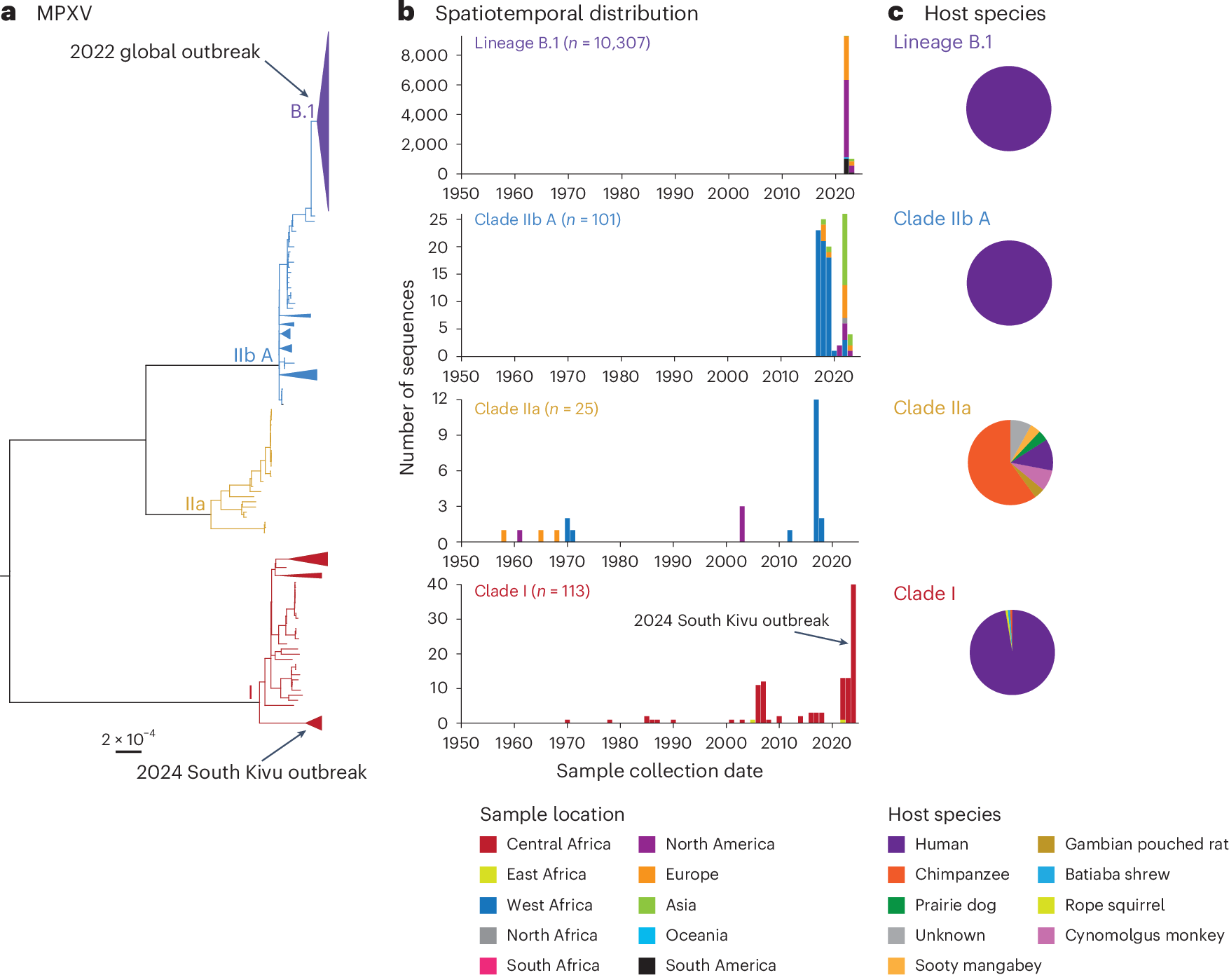 EVirusBioinfC's tweet card. Nature Medicine - An analysis of all available mpox virus sequences, including 10,670 sequences from 65 countries collected between 1958 and 2024, unveils the circulation pattern and spatiotemporal...