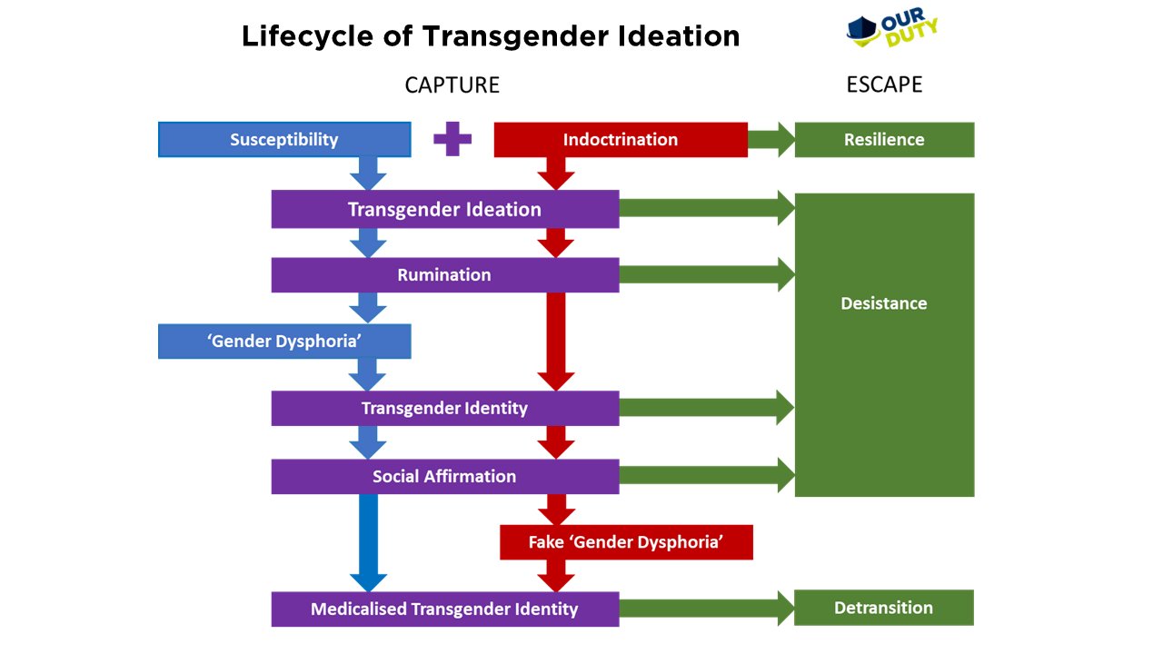 DadRogd's tweet card. Commentary » Reframing the Debate: From ‘Gender Dysphoria’ to ‘Transgender Ideation’ » Accuracy in language is important for safeguarding The language we use to discuss complex social issues often...