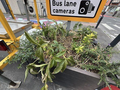 AnarchistFedNet's tweet card. 🔥 Jul 11, 2025 - From The Bristolian (UK) - A high profile anti-EBLN activist received a visit from the cops recently … A Green Party plastic planter with dying plants in the EBLN (The metaphor...