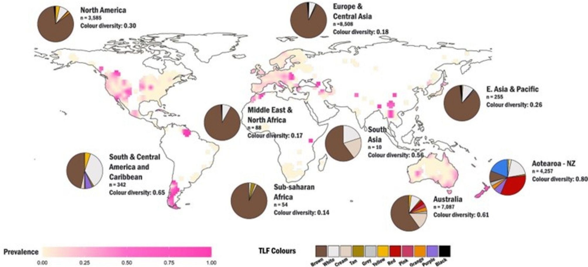 ACAD_Research_'s tweet card. Scientific Reports - Evidence for adaptation of colourful truffle-like fungi for birds in Aotearoa-New Zealand