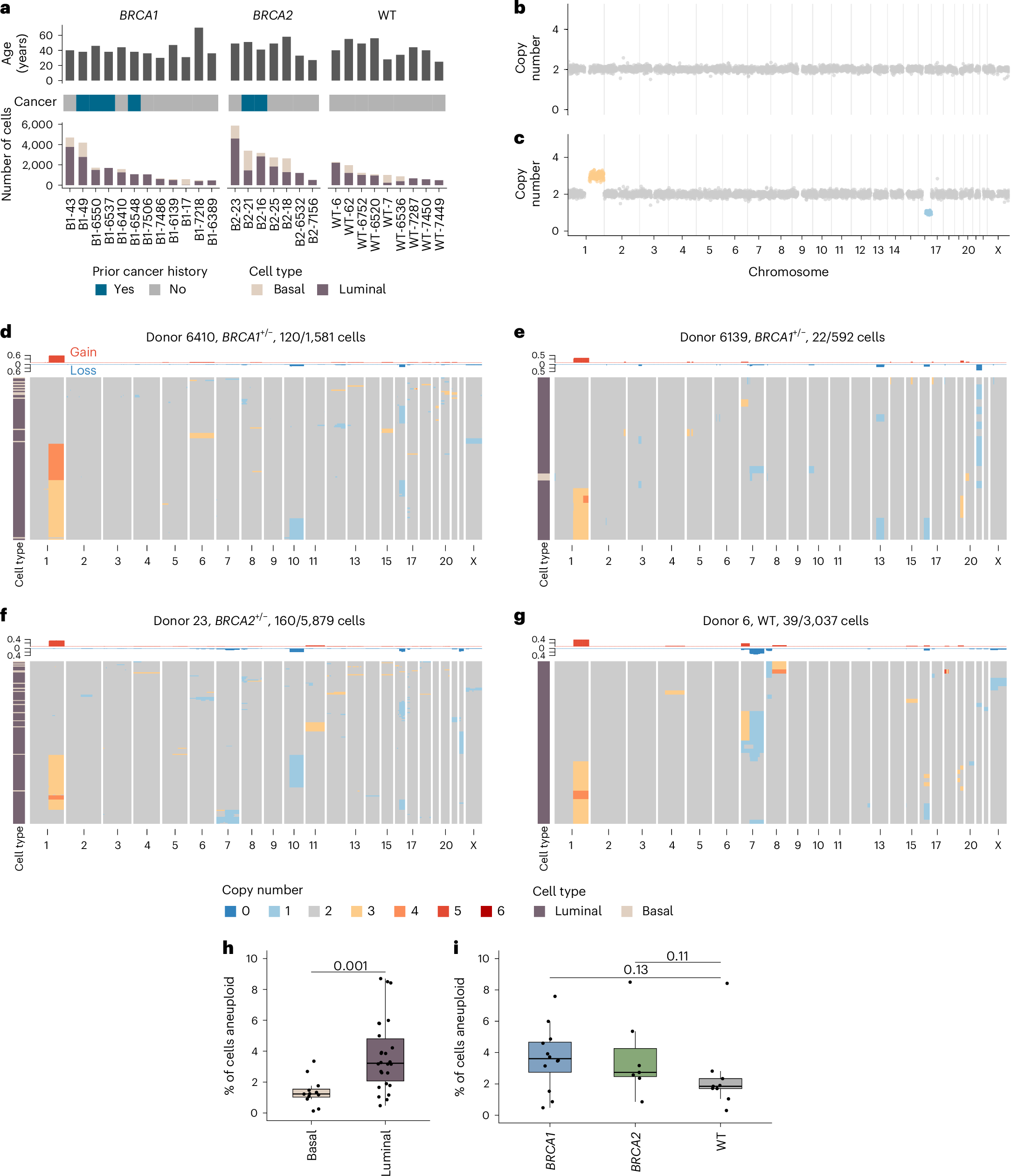 nicholas_navin's tweet card. Nature Genetics - Single-cell DNA sequencing identifies recurrent copy number changes in healthy breast tissue from women with wild-type or germline BRCA1 or BRCA2 mutations.