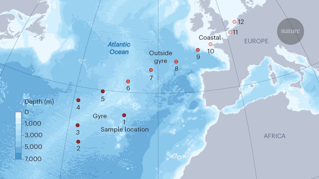 NatureNV's tweet card. Nature - A landmark field study reveals widespread pollution of the Atlantic Ocean by nanoscale plastic debris — raising questions about the risk to marine ecosystems.