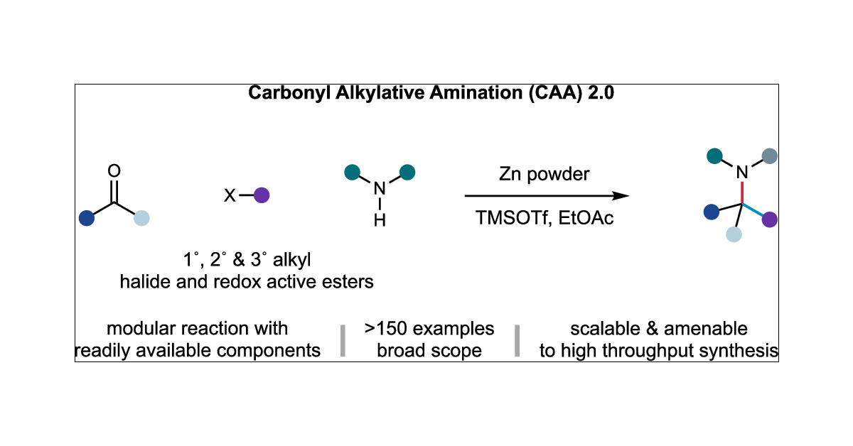 MatthewGaunt8's tweet card. Methods for the synthesis of α-branched alkylamines are important due to their ubiquity in biologically active molecules. Despite the development of many methods for amine preparation, C(sp3)-rich...