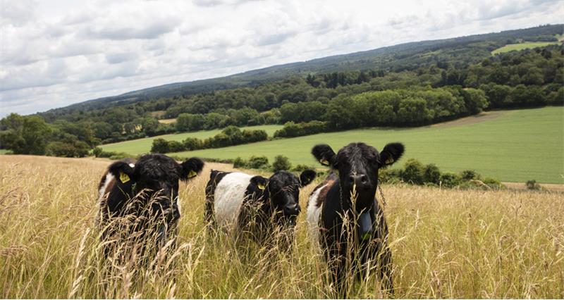 JDRoyle's tweet card. The NFU has said it’s excellent to see British farmers’ commitment to robust controls and surveillance now recognised by the World Organisation for Animal Health after it officially reclassified the...
