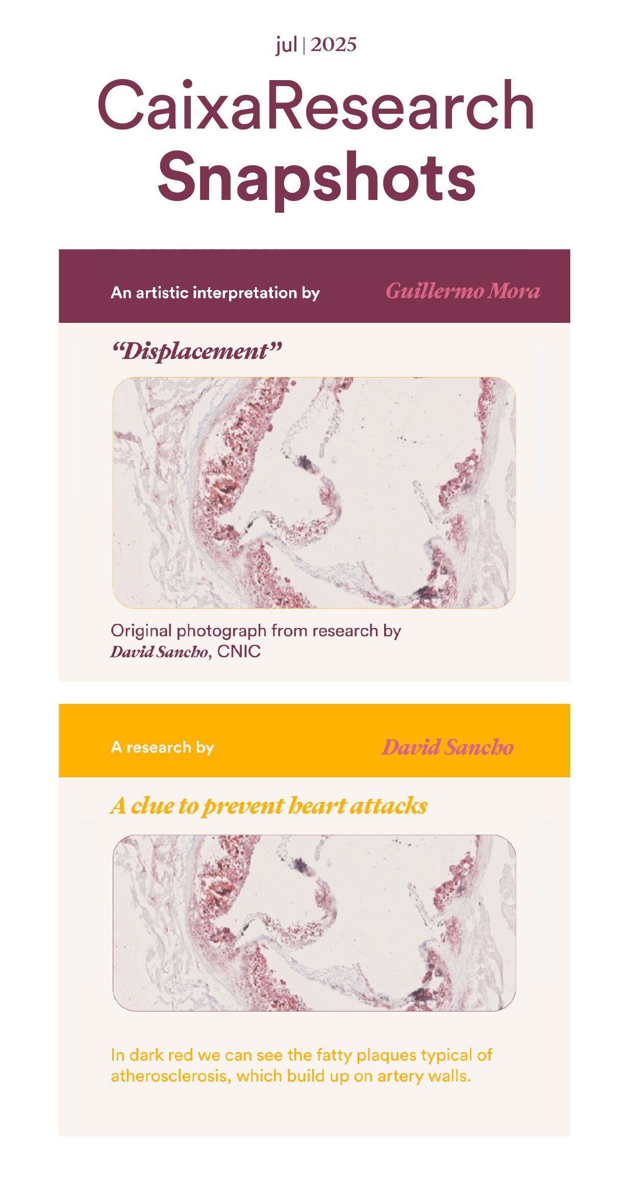 SanchoLab's tweet card. Create, observe, think, correct, rethink… Would you say that these steps form part of the work of an artist, or of scientific research? Of course, it’s difficult to choose without more context. But...