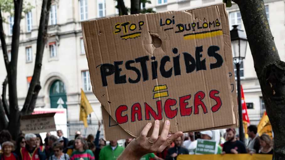 josette_marrant's tweet card. Pour les défenseurs de la loi Duplomb, qui prévoit de réintroduire un néonicotinoïde jusque-là interdit en France, les effets néfastes de ce pesticide sur la santé ne sont pas prouvés.