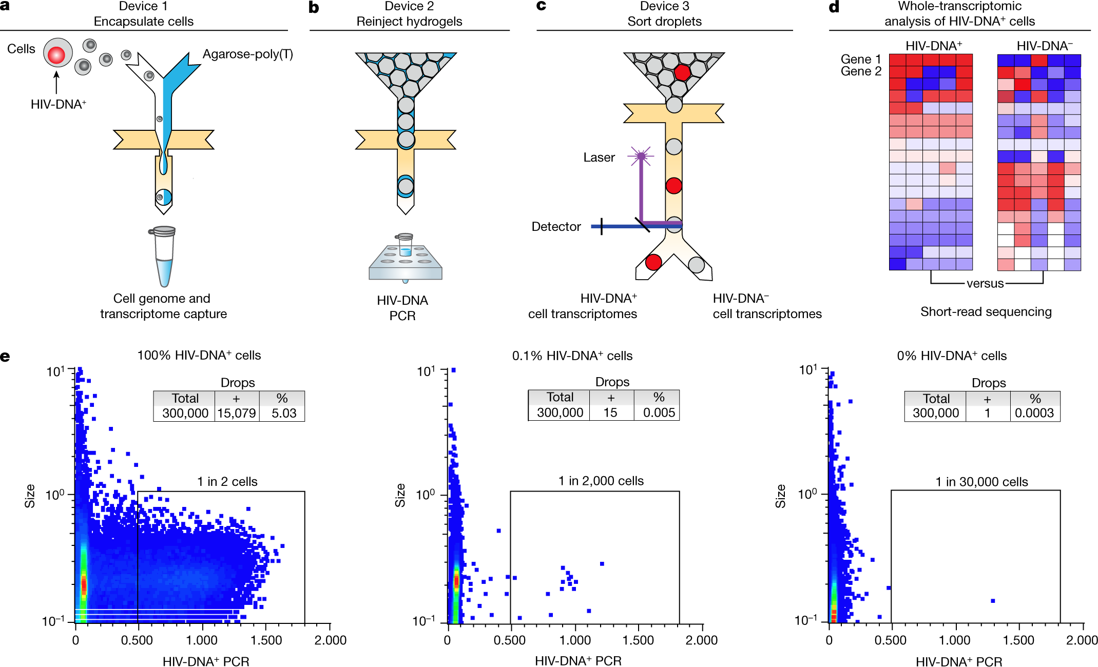 icclarker's tweet card. Nature - HIV-infected memory CD4 T cells under antiretroviral therapy are a distinctive population of cells with transcriptomic patterns that favour HIV silencing, cell survival and cell...