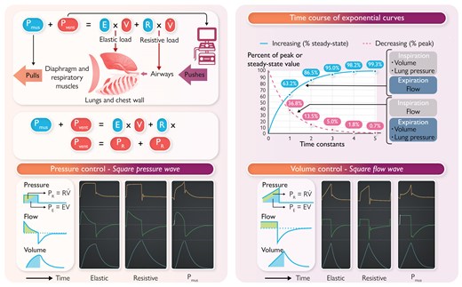 emireles_c's tweet card. Ventilator waveforms provide real-time insight into the mechanical behaviour of the respiratory system. They are direct representations of the equation of