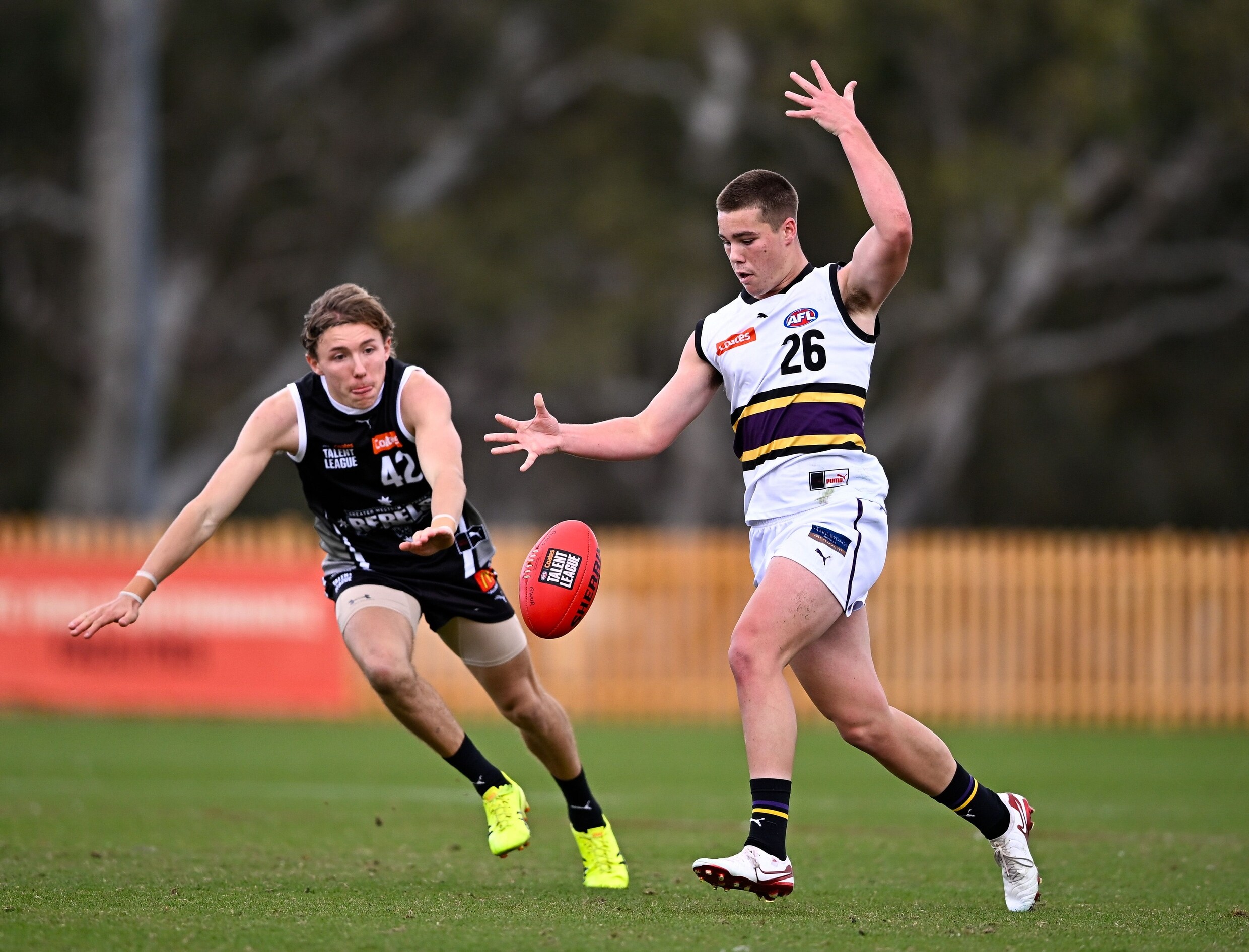 RookieMeCentral's tweet card. The Murray Bushrangers and Northern Knights will prepare to enter enemy territory as Round 16 of the Coates Talent League kicks off tomorrow.