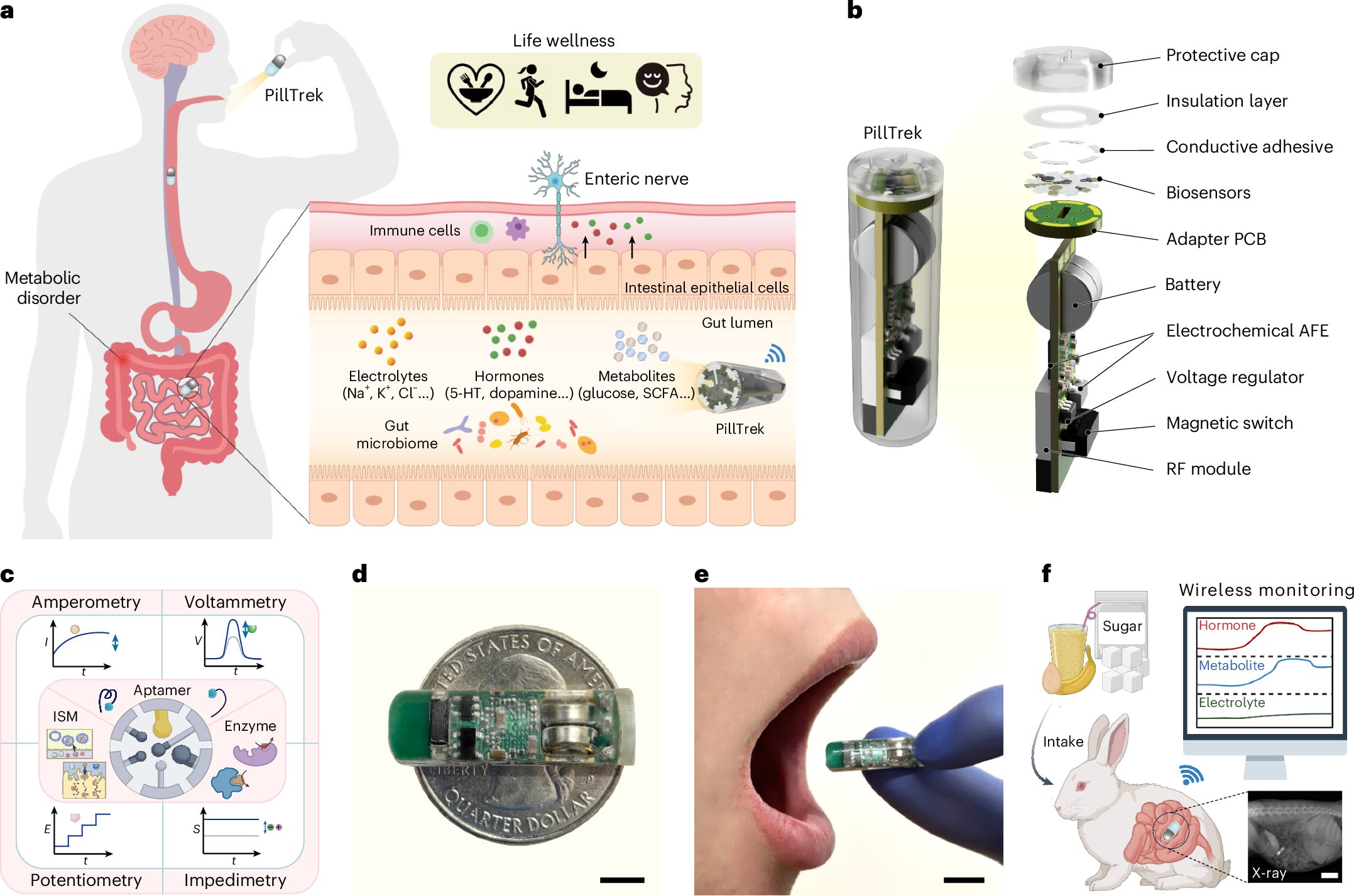WeiGaoLab's tweet card. Nature Electronics - An integrated smart capsule that encapsulates an array of electrochemical sensors can provide real-time, continuous and multiplexed monitoring of the gastrointestinal tract.