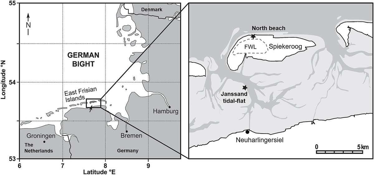 CPR_DPANN_jp's tweet card. Microbial communities in subsurface coastal sediments are highly diverse and play an important role in nutrient cycling. While the major fraction of microorg...