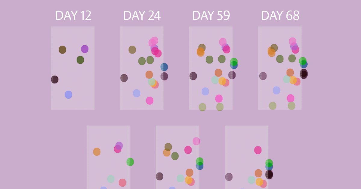 EnnyvBeest's tweet card. The new approach, called UnitMatch, improves on past methods for analyzing large electrophysiological datasets, the researchers say.