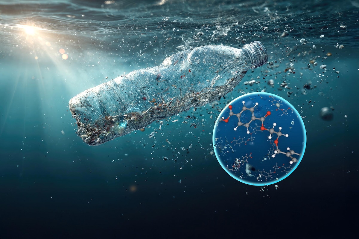 EcoWatch's tweet card. Nanoplastics are a much bigger part of the marine plastics pollution problem than had been previously thought.