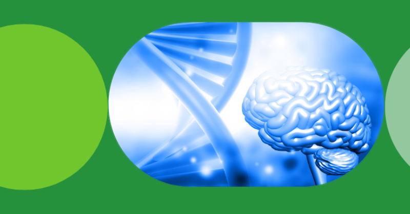 GenomicsEngland's tweet card. New research has uncovered 2 neurodevelopmental disorders using data from the National Genomic Research Library. These findings have led to new diagnoses…
