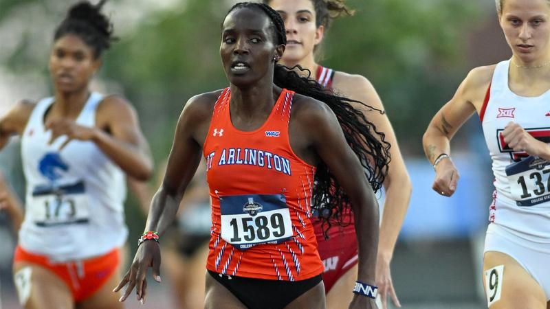 UTAMavsTFXC's tweet card. COLLEGE STATION, Texas – Day two of the 2025 NCAA West Regional wrapped up for the UT Arlington track and field team which was highlighted by Winnie Kipsang moving on to the quarterfinals in the...