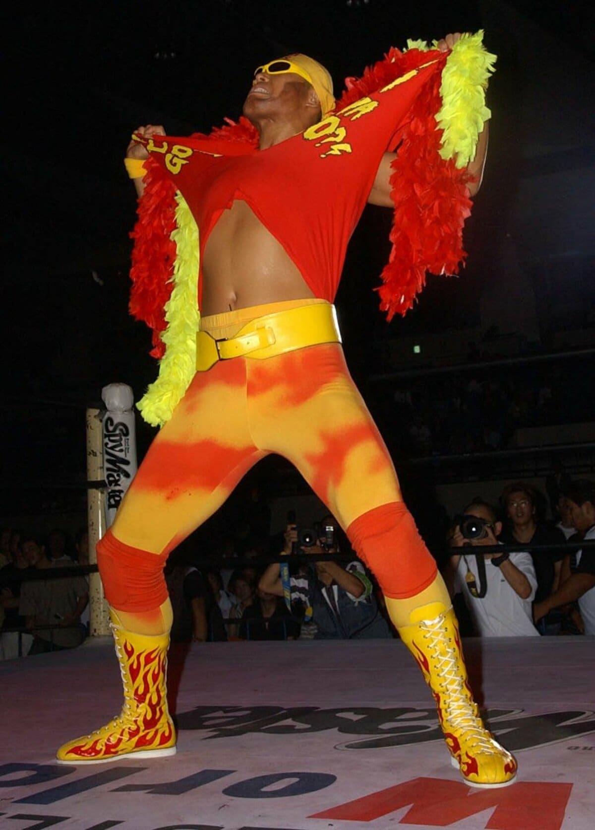 tospo_battle's tweet card. 世界的な人気を誇るプロレスラーのハルク・ホーガンさん（本名テリー・ボレア）が２４日、米フロリダ...