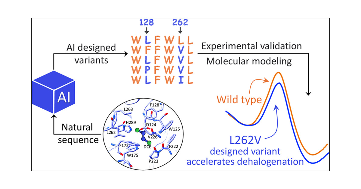 EvoCatalysis's tweet card. Generative artificial intelligence (AI) models trained on natural protein sequences have been used to design functional enzymes. However, their ability to predict individual reaction steps in enzyme...