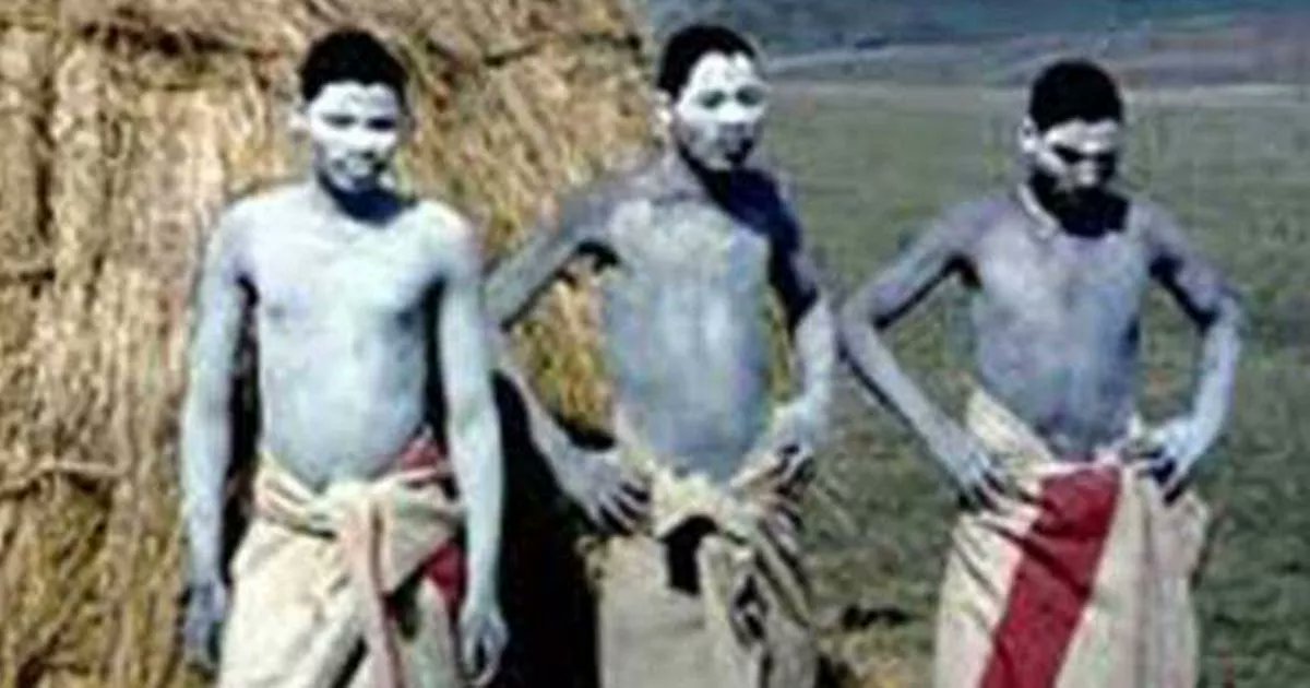 logomachist's tweet card. Last year the South African tribal tradition resulted in dozens of deaths and 11 penis amputations