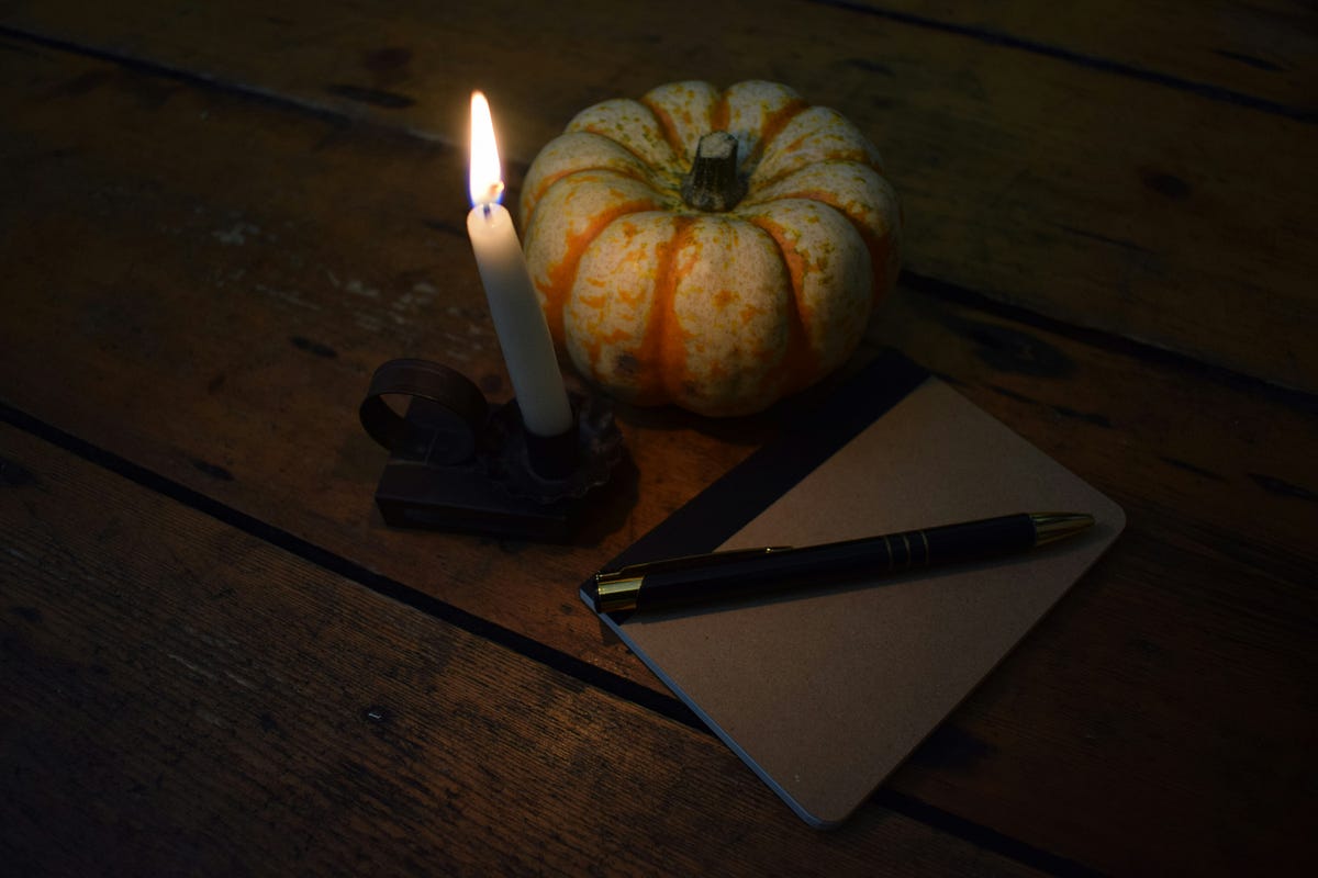nellieafc's tweet card. Photo by Michelle Gordon on Unsplash