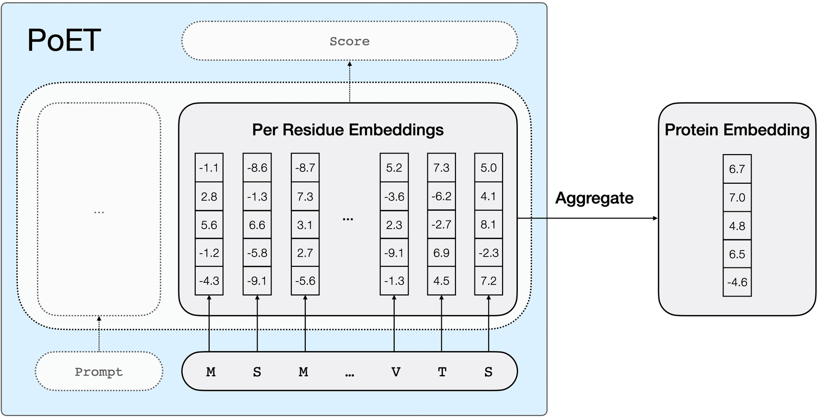 openprotein's tweet card. PoET, our generative protein language model, is a powerful foundation model for supervised learning on proteins. Remarkably, PoET-based models significantly outperform previous methods for predicting...