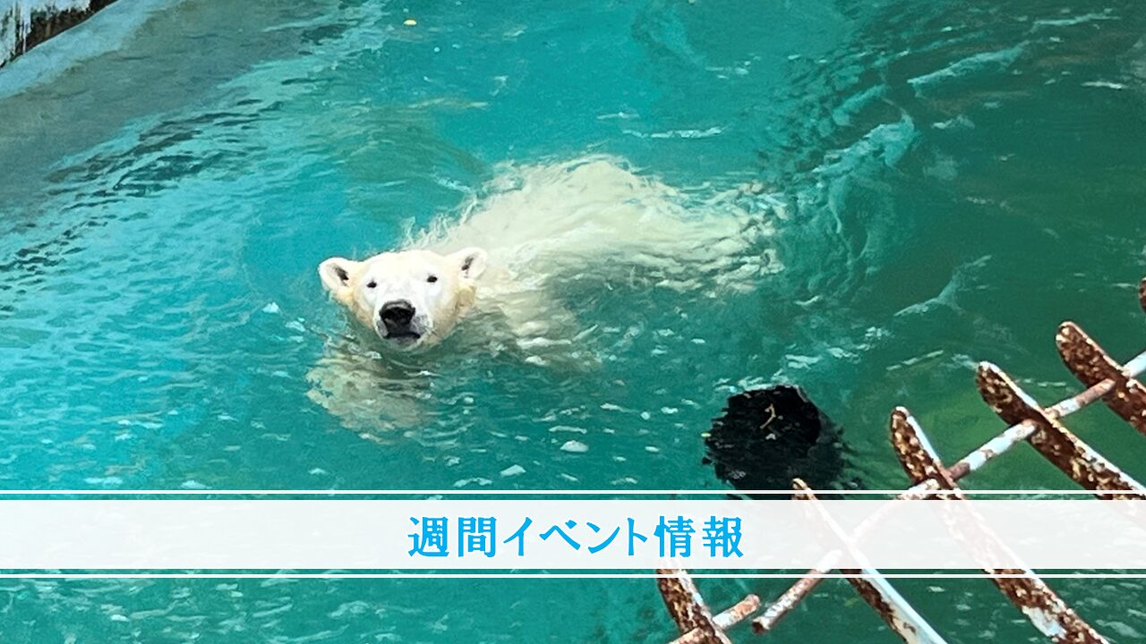 TenZoo_official's tweet card. いつも天王寺動物園にお越しいただき、ありがとうございます。7月25日（金曜日）～7月31日（木曜日）の当園のイベント情報につきまして、お知らせさせていただきます。その他のイベント情報につきましては、イベント情報ページからご確認ください。みな