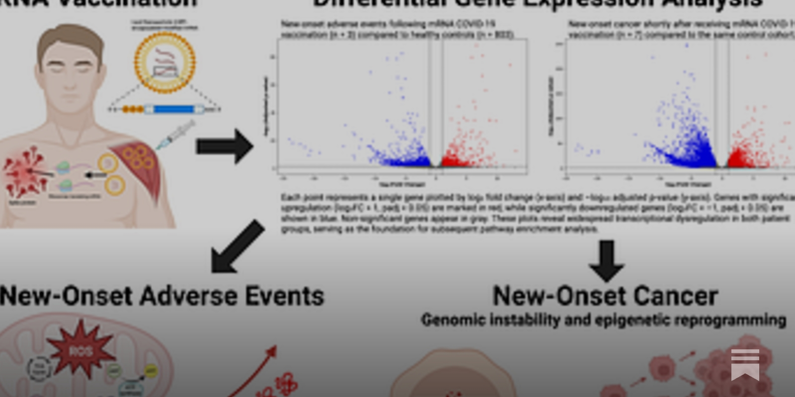 dimitrigalanis's tweet card. Landmark study reveals COVID-19 “vaccines” severely disrupt the expression of thousands of genes—triggering mitochondrial failure, immune reprogramming, and oncogenic activation.